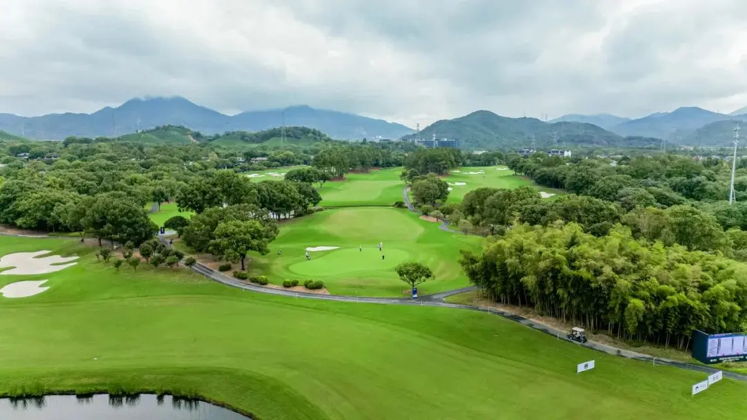 逐梦西湖, 会慢慢发芽, 很稳
