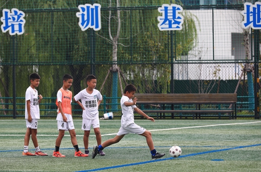 的队员对泽, 工作的生动, 让来自泽普